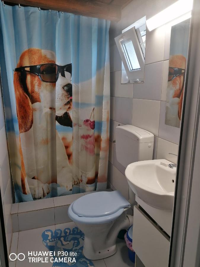 Casa Stefy Vama Veche Exteriér fotografie