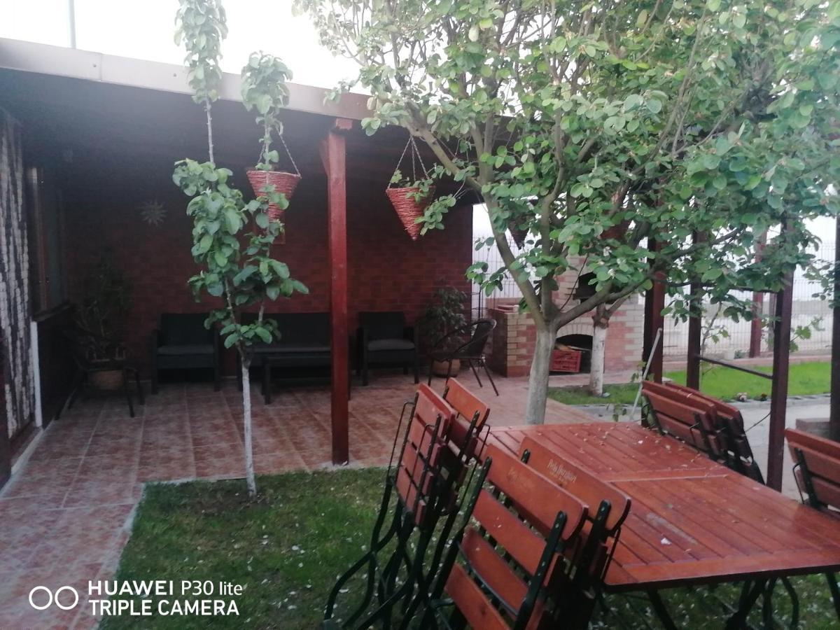 Casa Stefy Vama Veche Exteriér fotografie