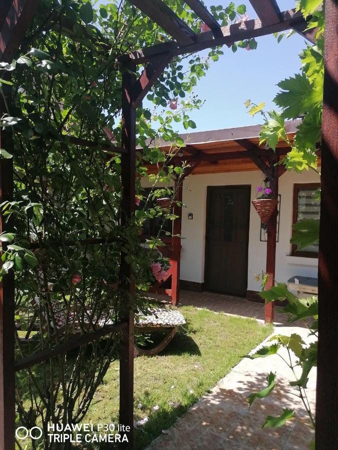 Casa Stefy Vama Veche Exteriér fotografie